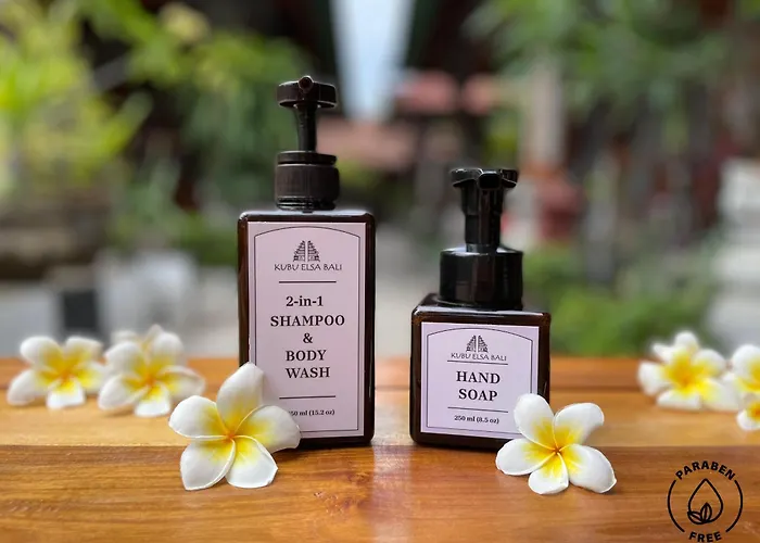 Kubu Elsa Bali