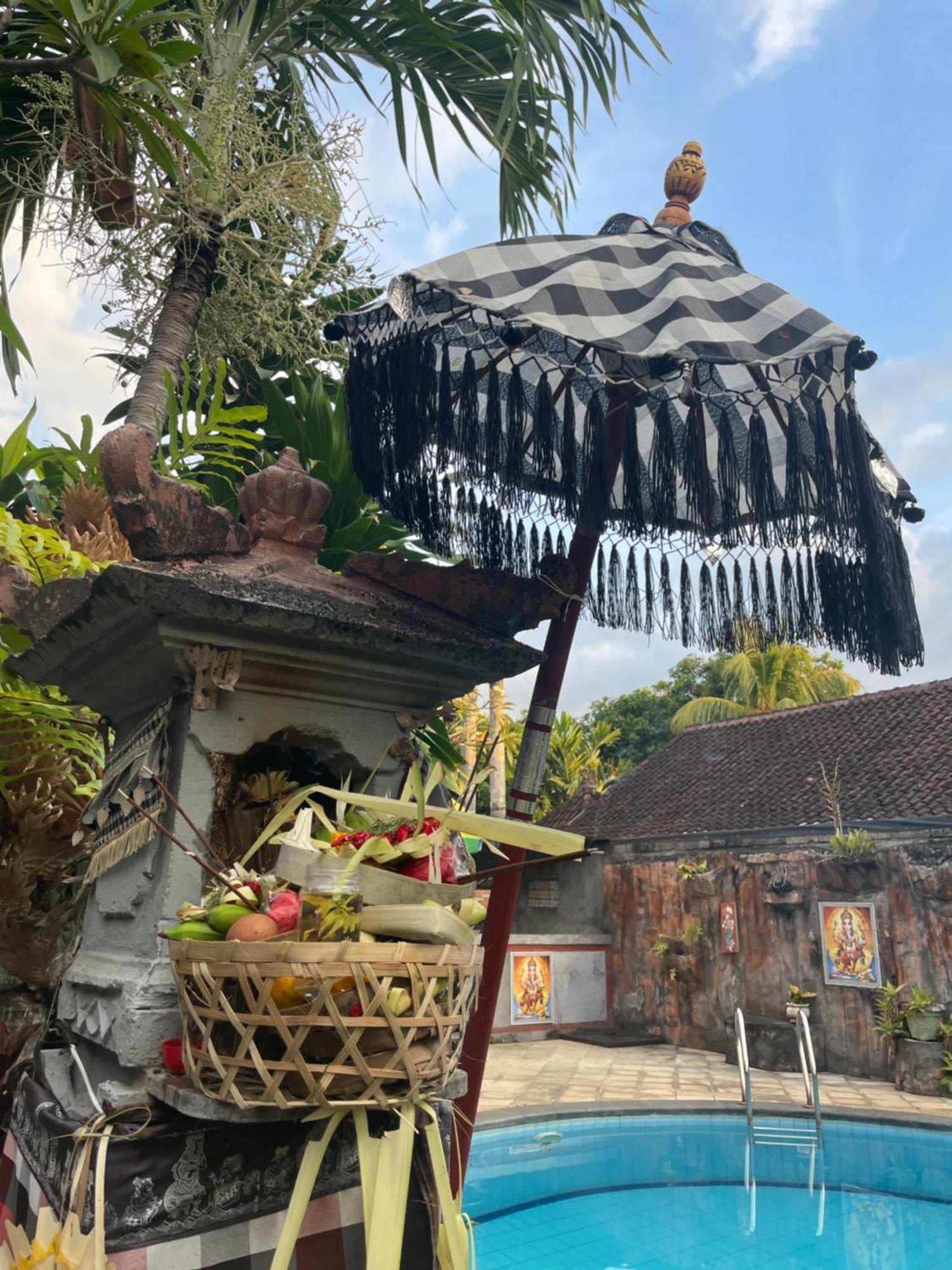 Kubu Elsa Bali Lovina (Bali)