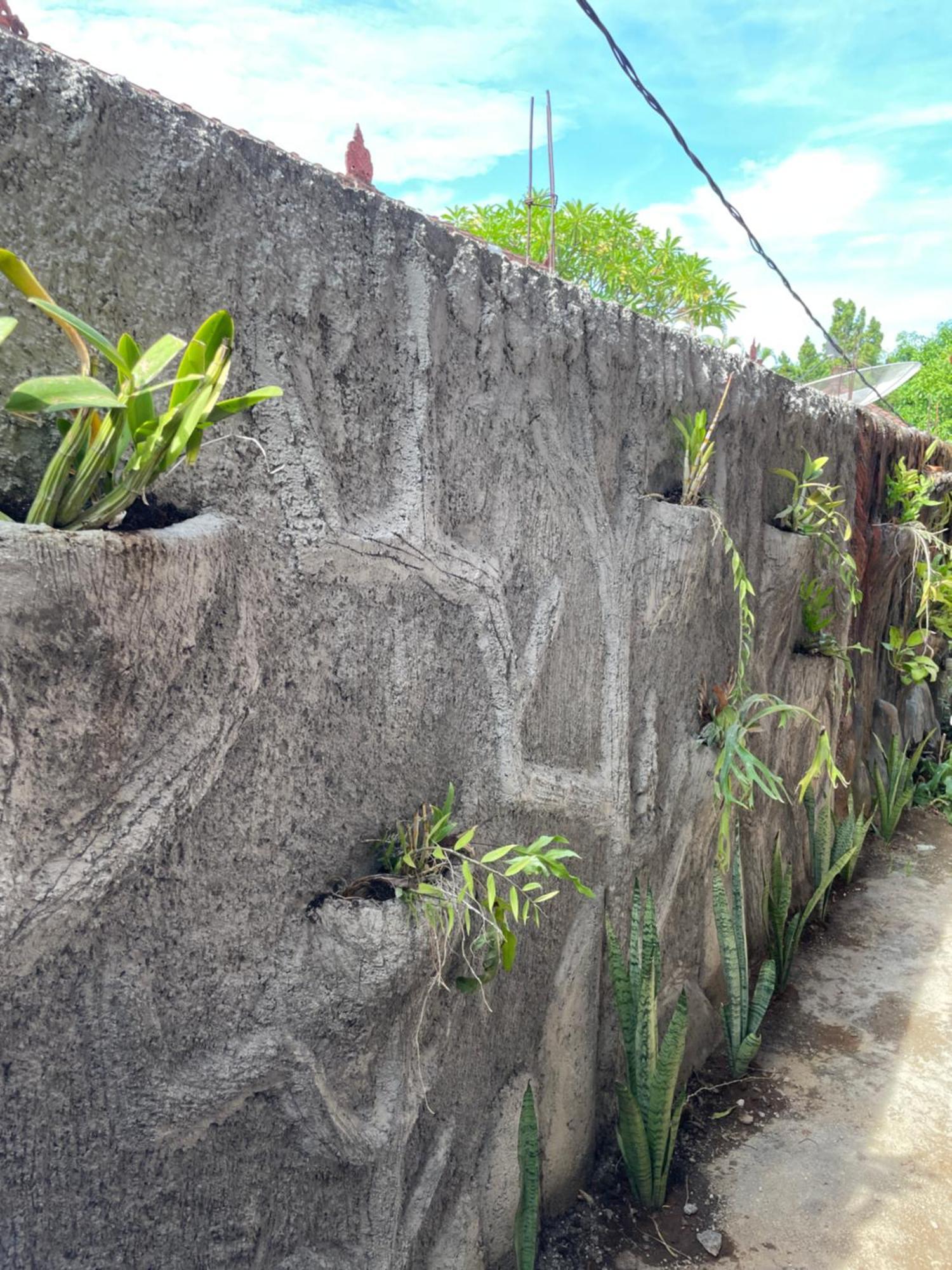 Kubu Elsa Bali Lovina (Bali)
